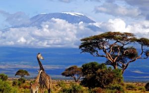 Travel like a local in Tanzania: the best authentic experiences to try
