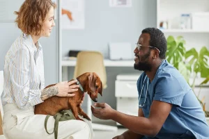 The Importance of Pet Insurance in Red Wing, MN