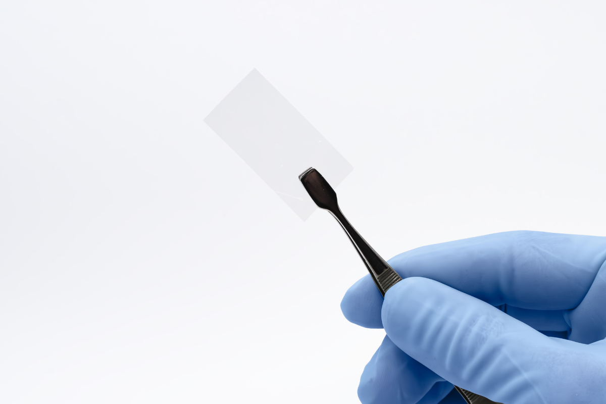 amniotic membrane graft for wounds, Dual Layer Membrane