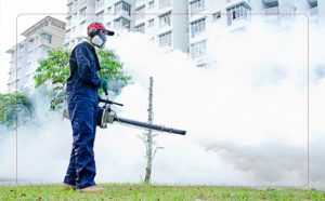 Pest Control Companies in Toronto