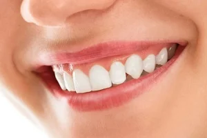 General Dentists