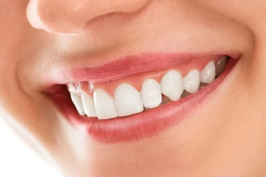 General Dentists