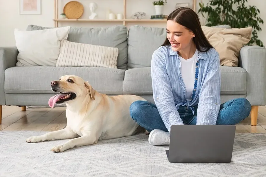 5 Reasons Pet Owners Choose Comprehensive Animal Clinics