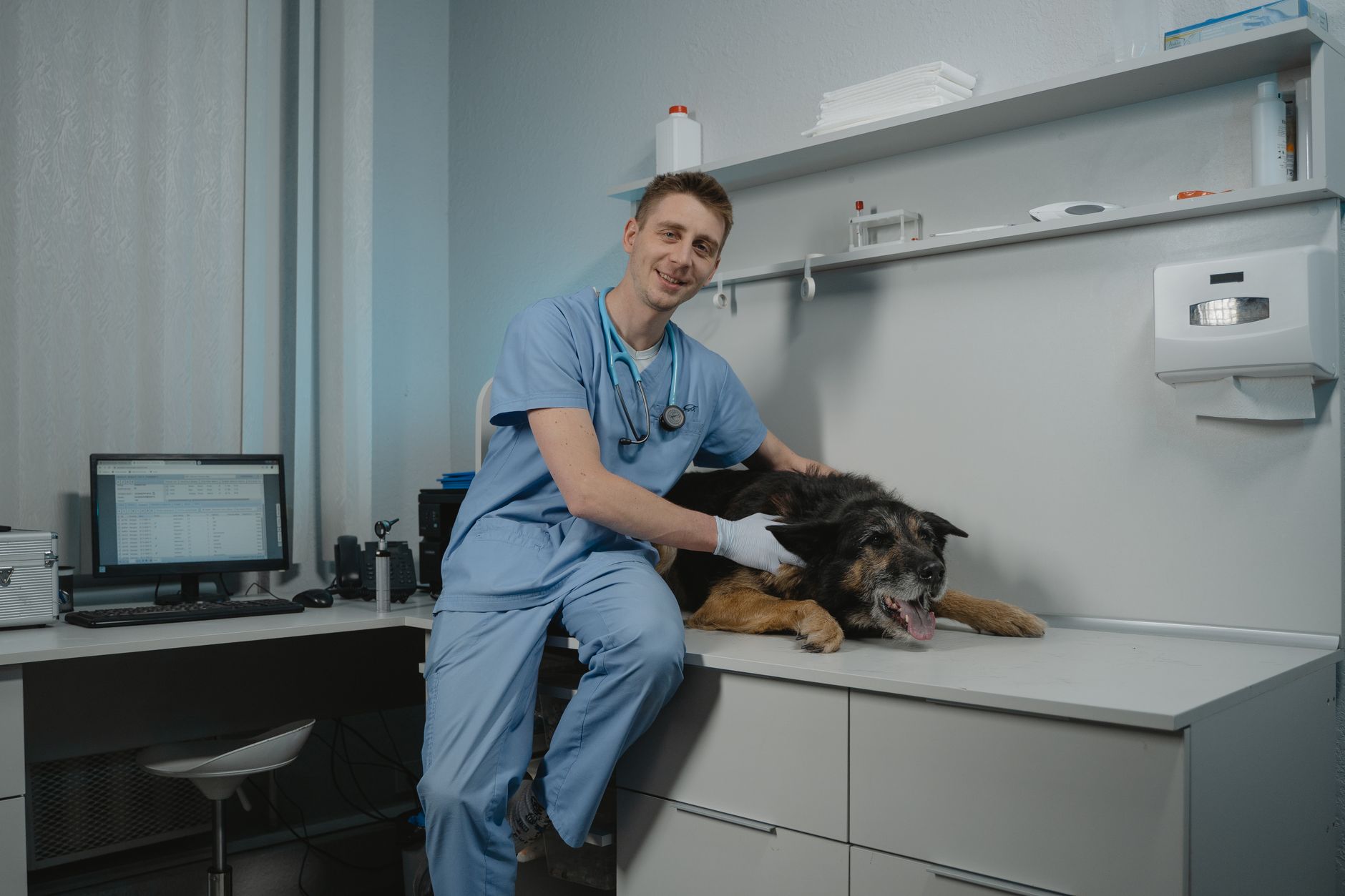 Animal Hospitals